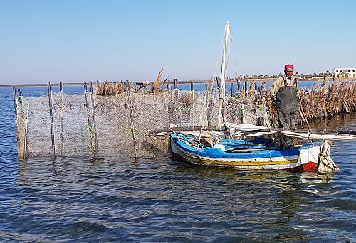 logo_unitelma_unesco_chair