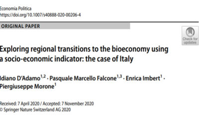 Uno studio sulla transizione delle regioni  italiane verso la bioeconomia: il ruolo degli indicatori di sostenibilità socio-economica