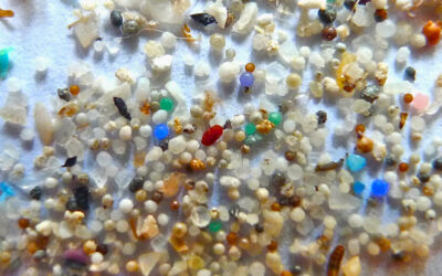 Inquinamento da microplastiche