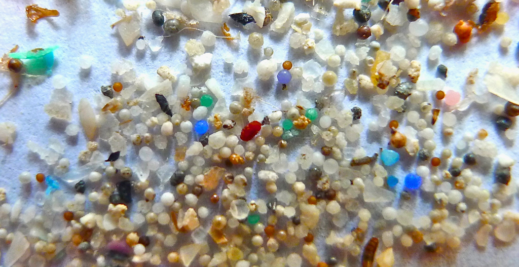 Inquinamento da microplastiche