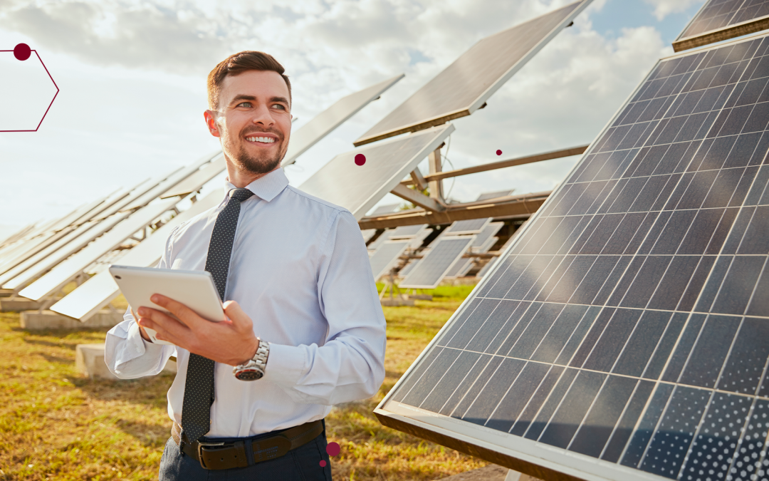 Formarsi per le professioni del domani: presentazione del Master Sustainability Management (SUSTMAG)