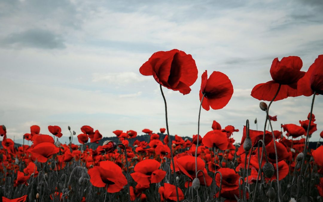 UnitelmaSapienza per il Giorno della Memoria
