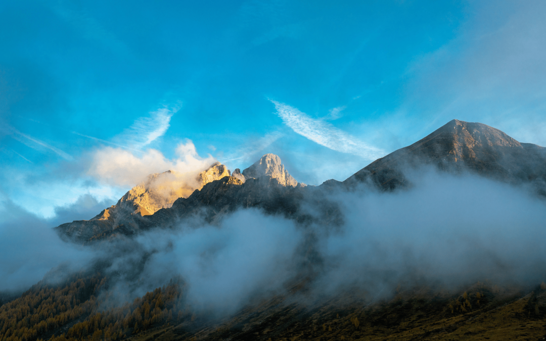 Winter School in “Processo Penale e Costituzione”