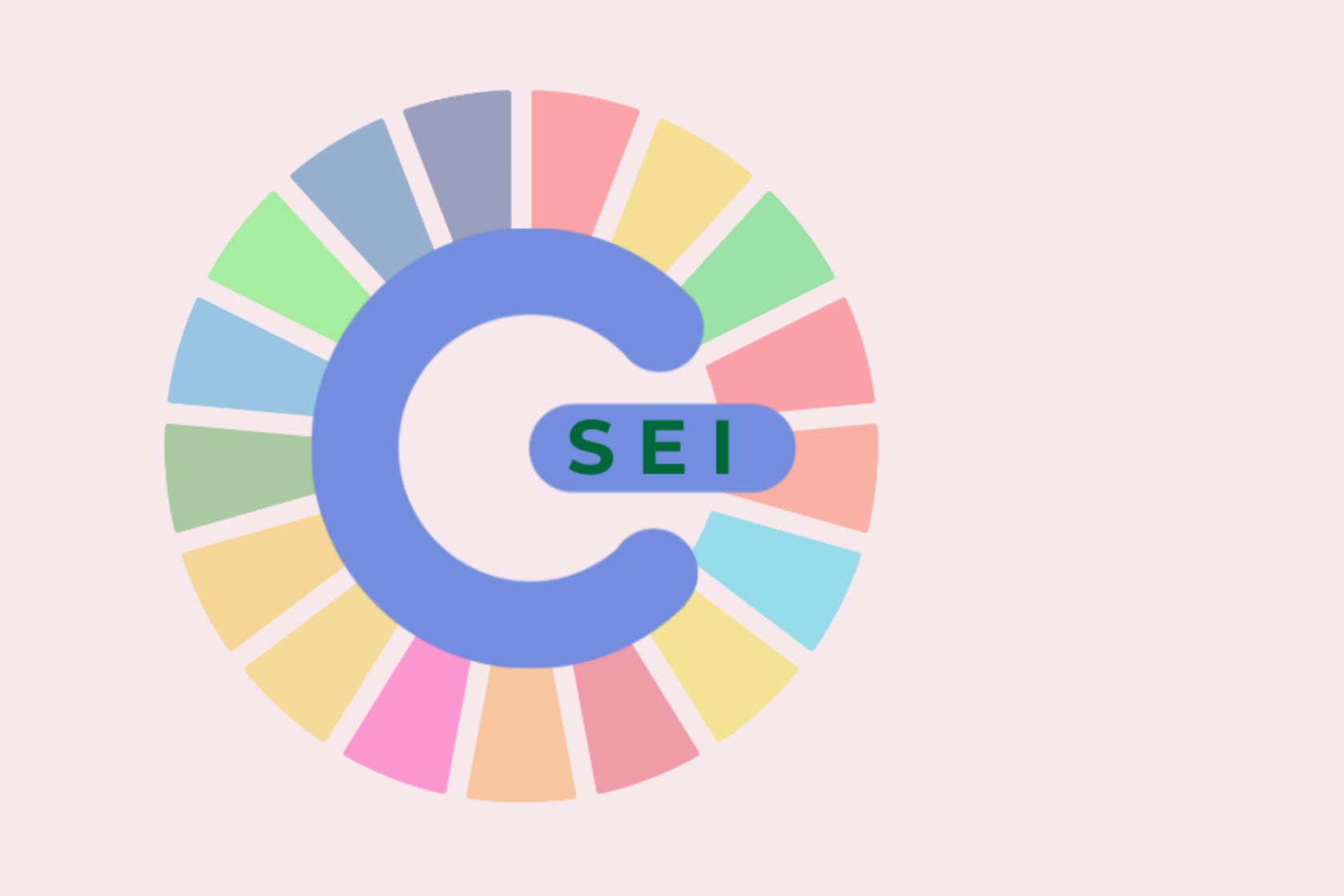 C-SEI LOGO news-Progetto BRIC INAIL PMP 5.0
