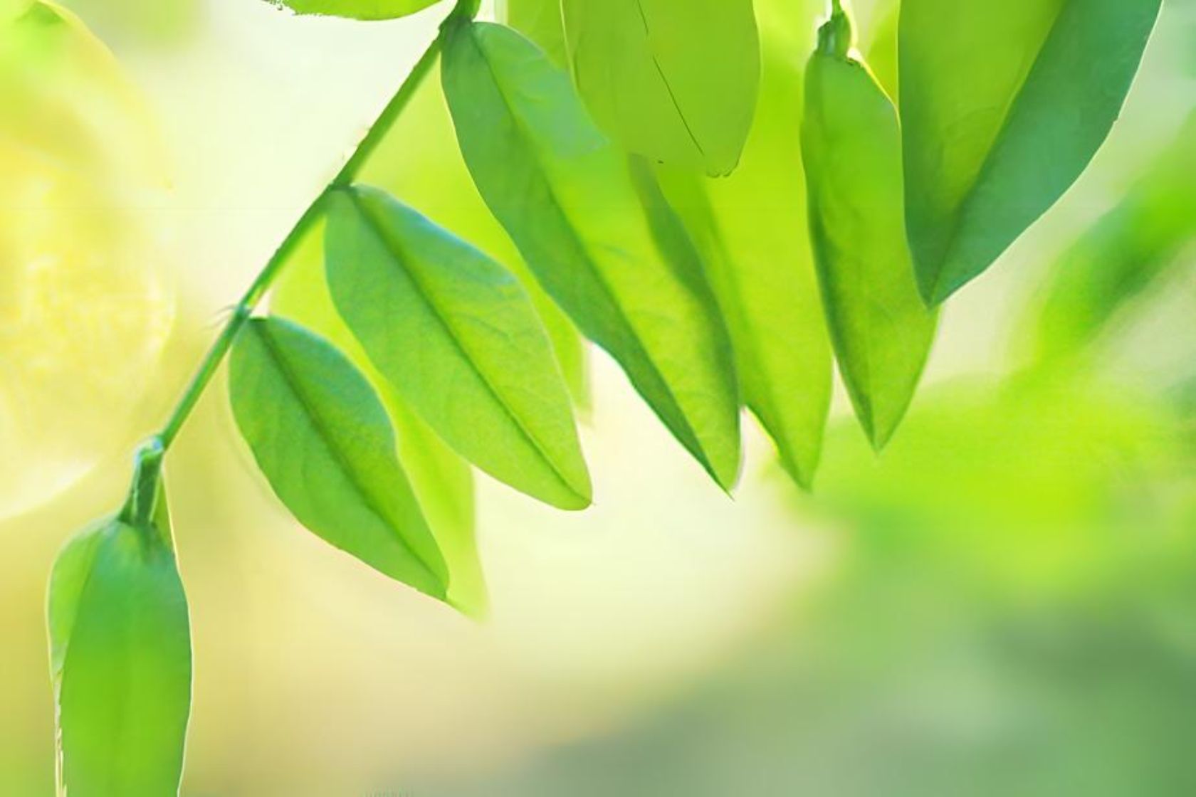 News_Leverage points for sustainability transformation in the Finnish (circular) plastic packing system Sala Melillo – Imbriani – Mongillo (1)