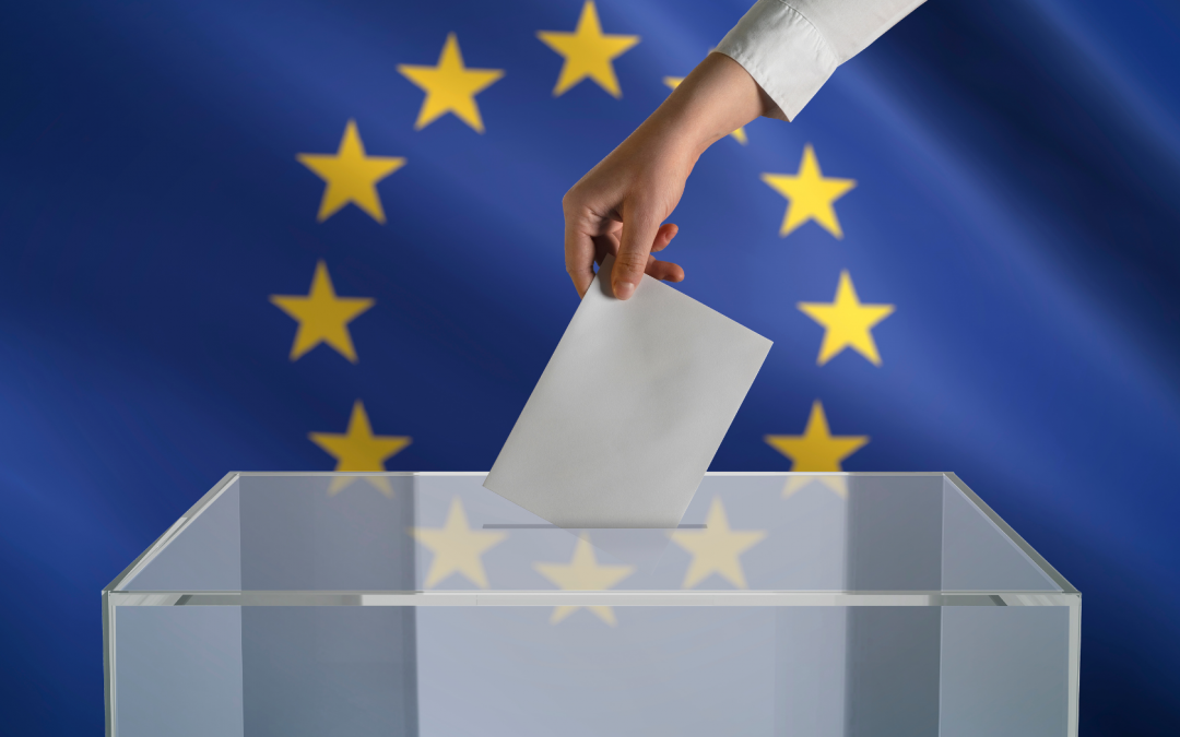 Le elezioni europee del 2024: analisi e prospettive