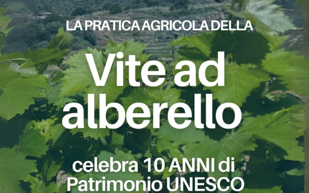 La Cattedra UNESCO di UnitelmaSapienza a Pantelleria