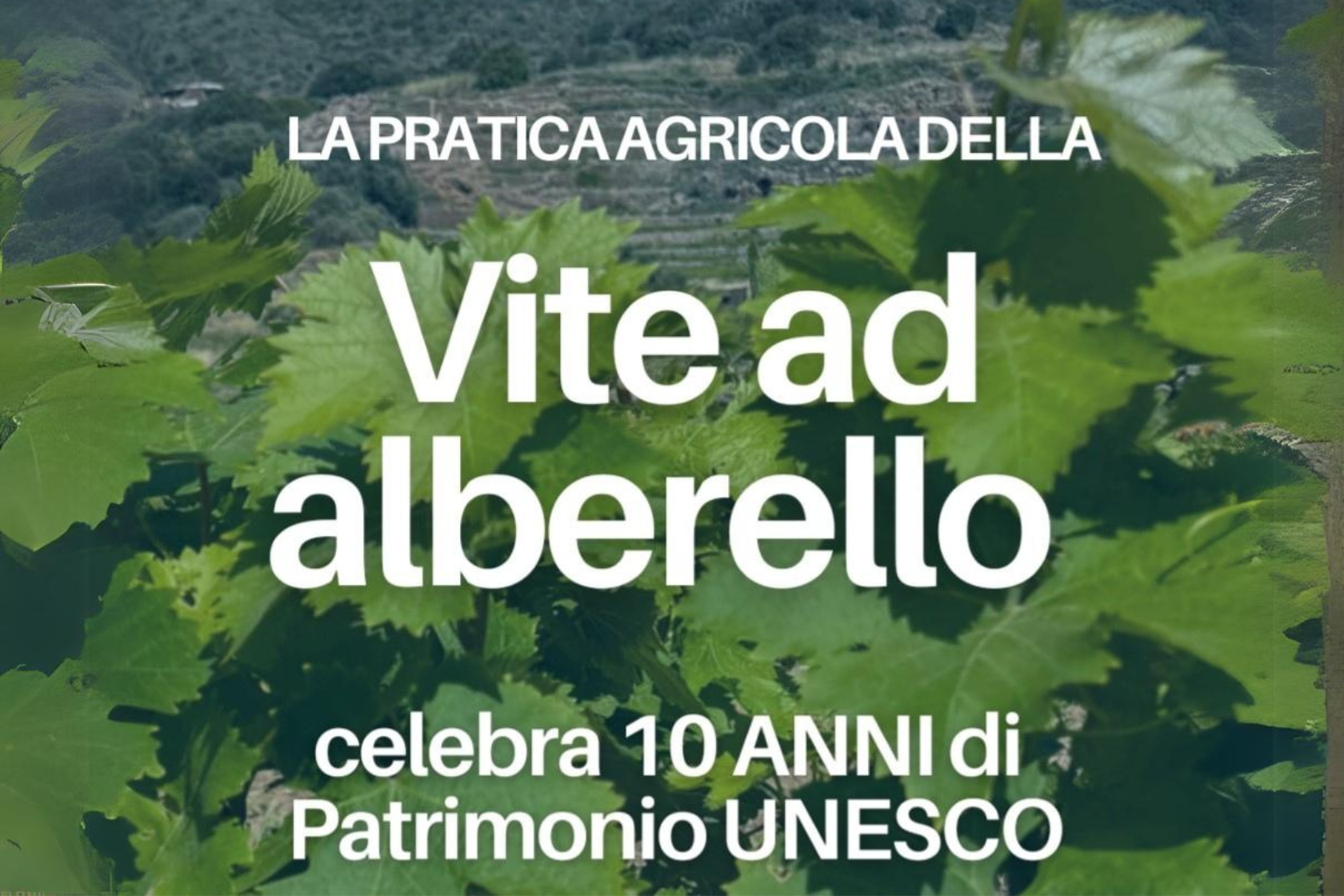 La Cattedra UNESCO di UnitelmaSapienza a Pantelleria Inaugurazione del Master in Diritto Sanitario