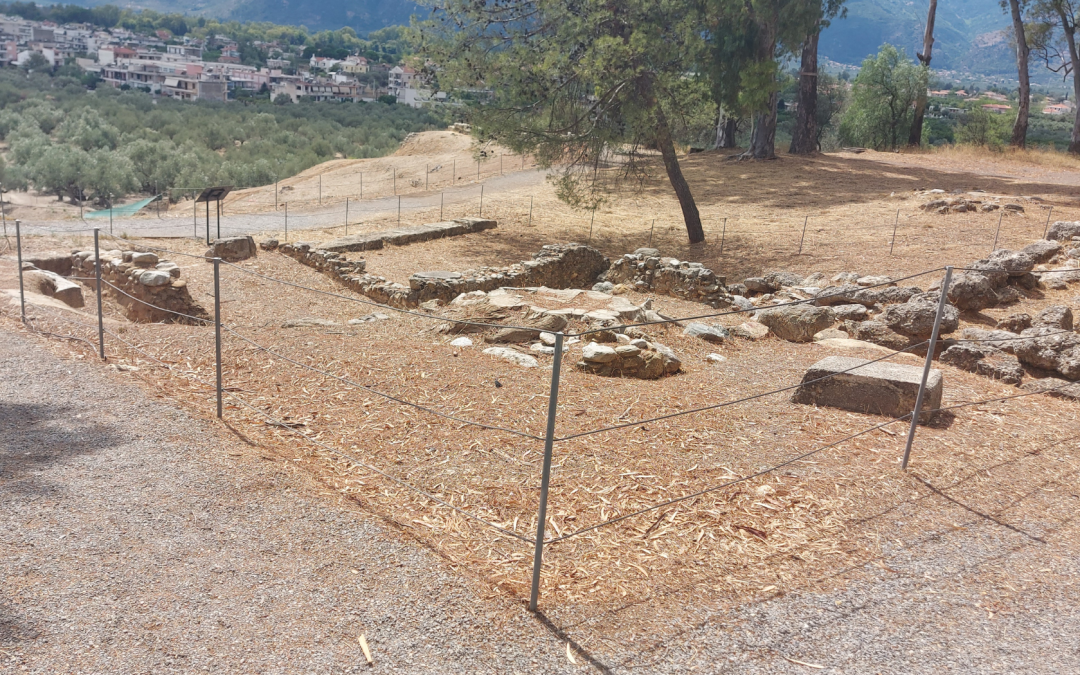 Sparta, Summer School in Storia Antica e Archeologia