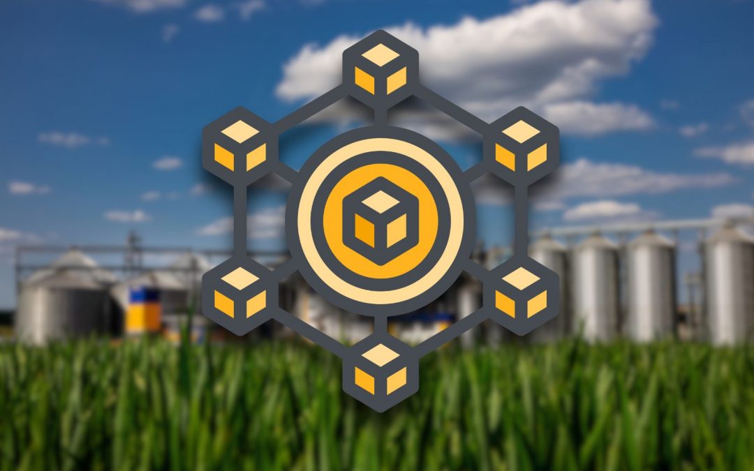 Business Caffè del DSGE – L’innovazione digitale nell’agrifood