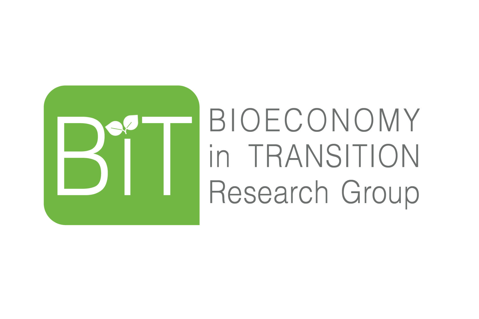 News_Biorefineries as Drivers for Sustainability Sala Melillo – Imbriani – Mongillo (1)