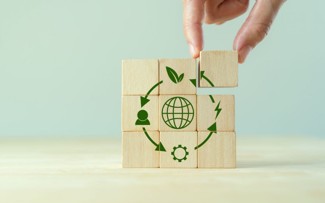 UnitelmaSapienza per il #Circuralmonday: l’economia Circolare come modello sostenibile di produzione e consumo