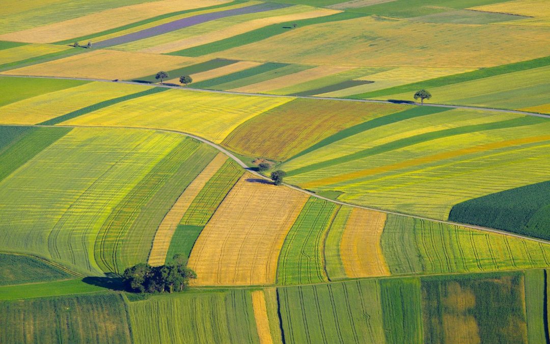 UnitelmaSapienza partecipa al progetto europeo Rural BioReFarmeries (RBRF)