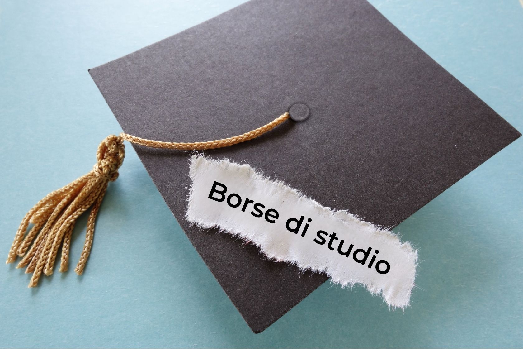 News_Borse di studio