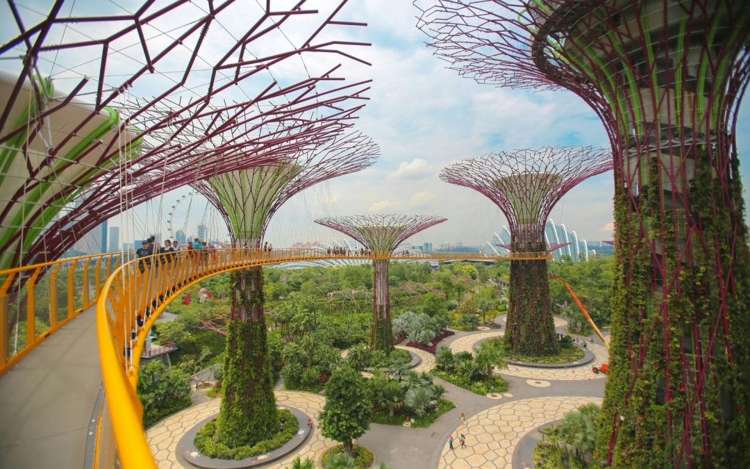 10 borse di studio per il Master START di UnitelmaSapienza