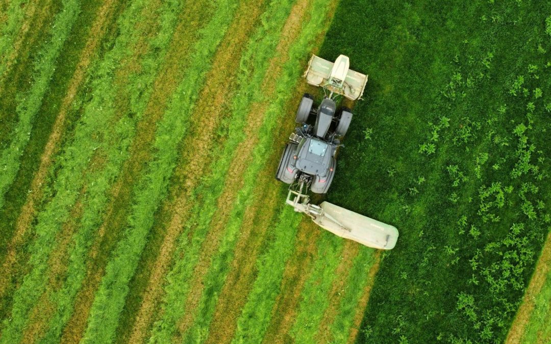Nuovi progetti europei: Governance and INnovation for GeneratingEducation and Regularity in EU Agricultural Funds (GINGER)