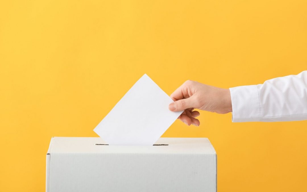 Elezioni dei rappresentanti degli studenti nel Consiglio di CdS e nel Consiglio di Dipartimento
