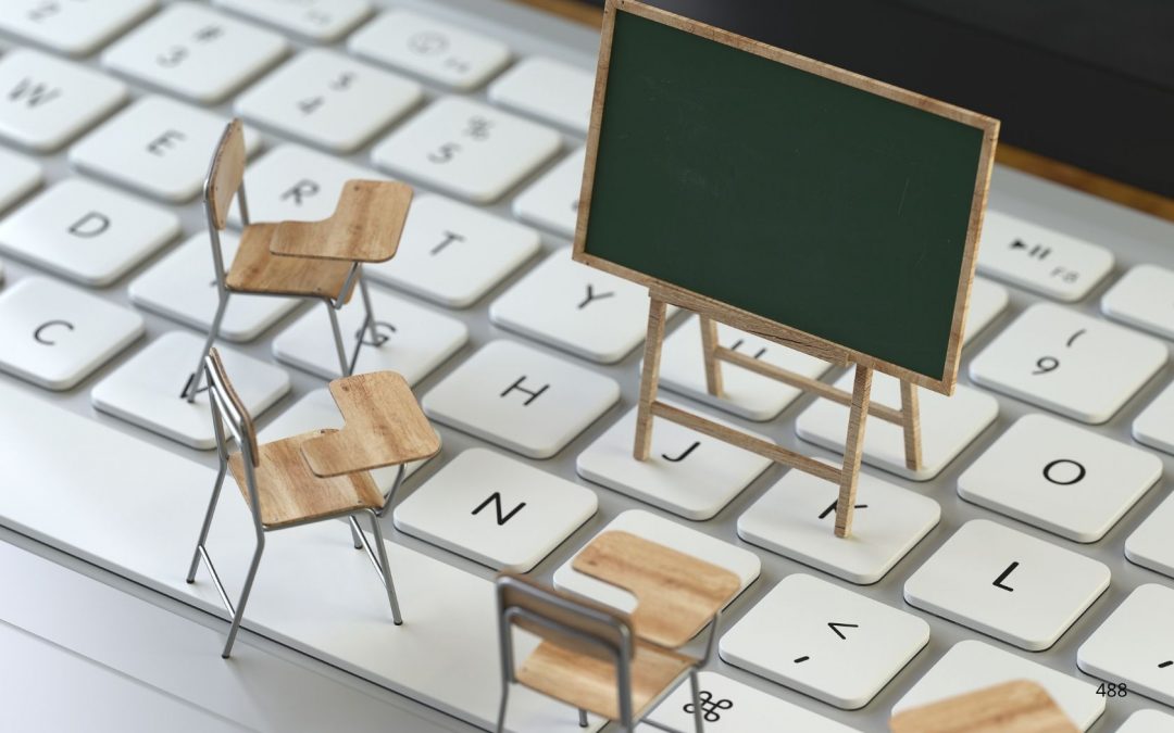 Lavorare nella formazione professionale: ruoli e competenze. Nuovo incontro online per studenti e neolaureati