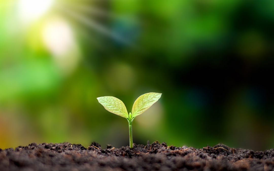 Soil Monitoring in the Anthropocene