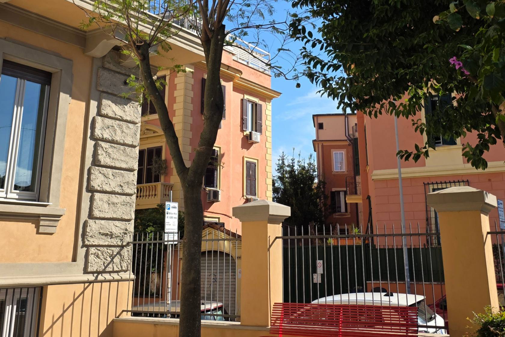 A UnitelmaSapienza un nuovo albero che simboleggia “saggezza e successo negli studi”